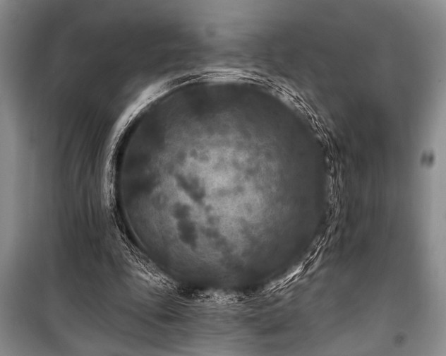 X0000101140343200806270925