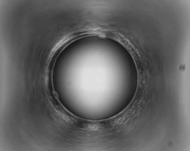 X0000101140344200806270925