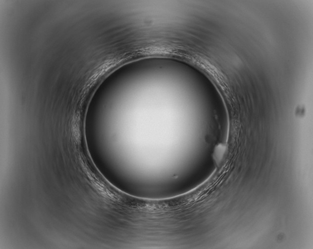 X0000101140345200806270925