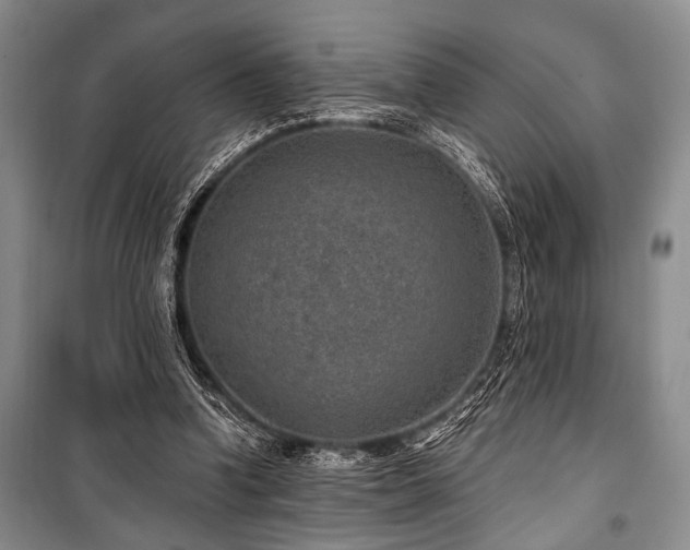 X0000101140346200806270925