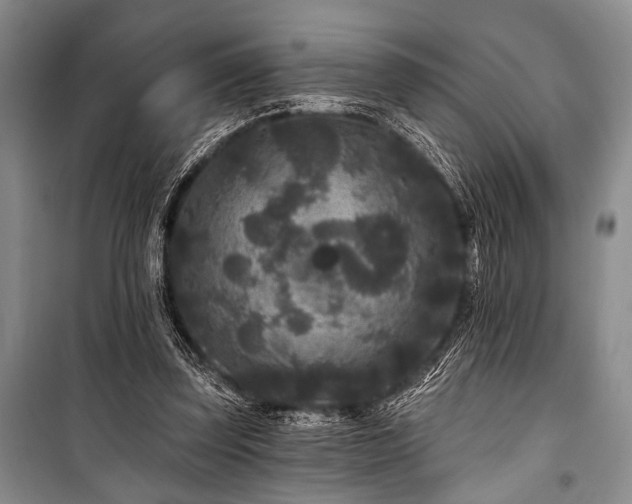 X0000101140347200806270925