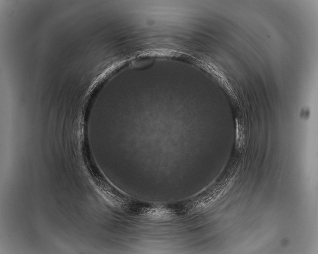 X0000101140348200806270925