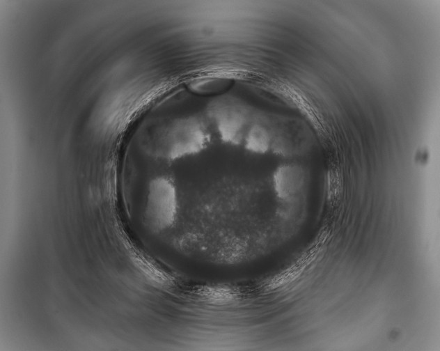 X0000101140349200806270925