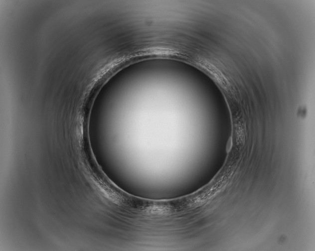 X0000101140350200806270925