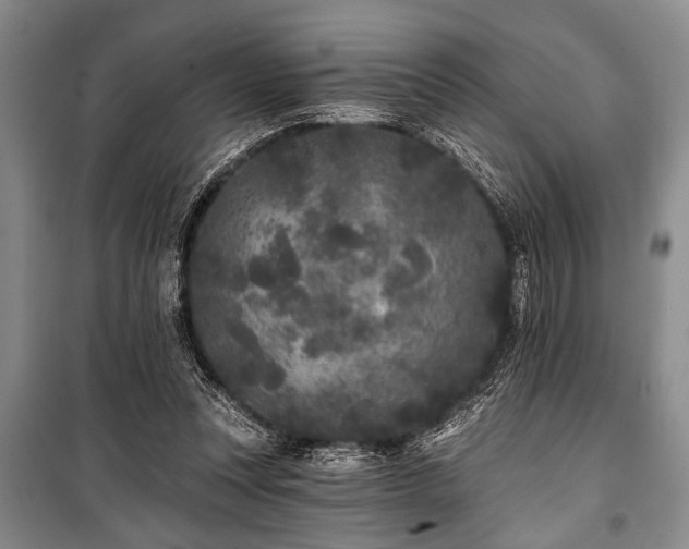 X0000101140351200806270925