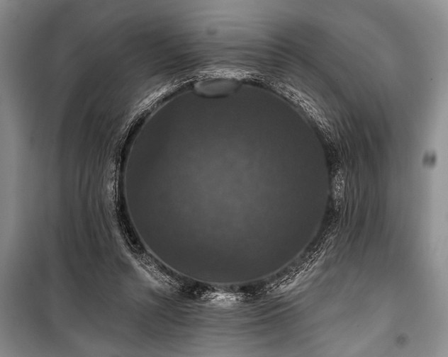 X0000101140352200806270925