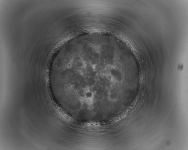 X0000101140353200806270925