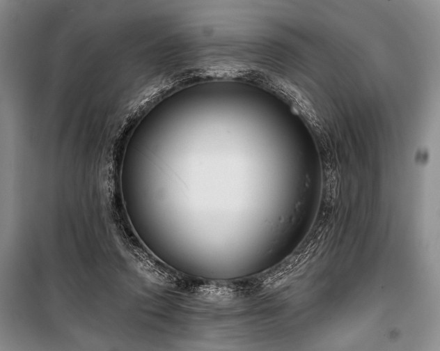 X0000101140354200806270925