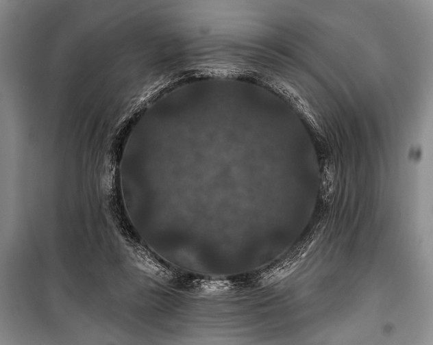 X0000101140355200806270925