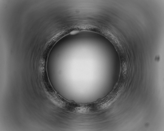 X0000101140356200806270925