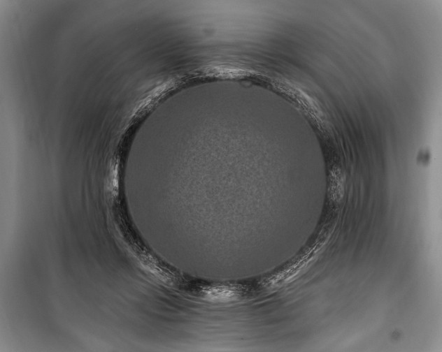 X0000101140358200806270925