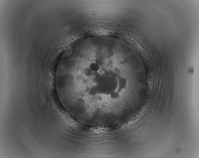 X0000101140359200806270925