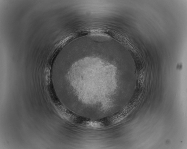 X0000101140360200806270925