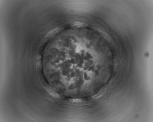 X0000101140361200806270925