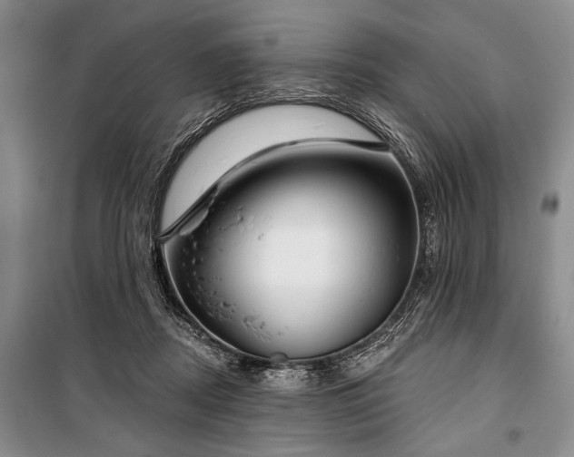 X0000101140362200806270925