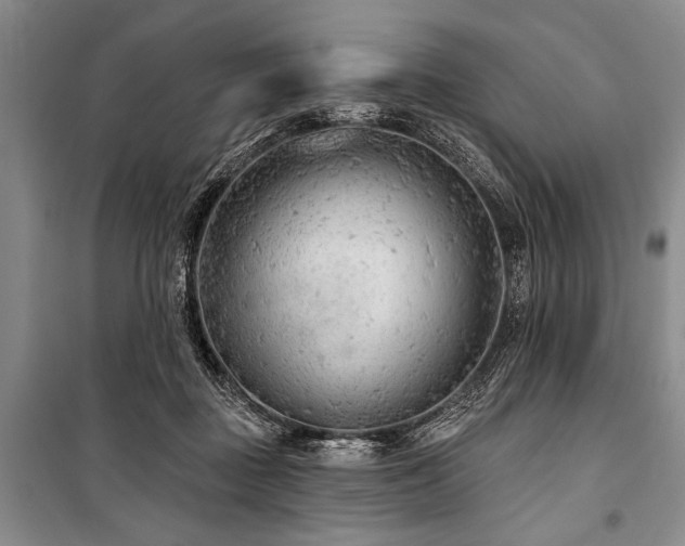 X0000101140363200806270925