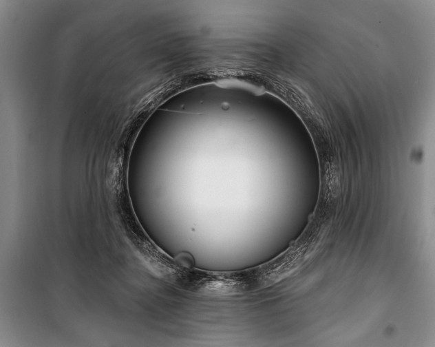 X0000101140364200806270925