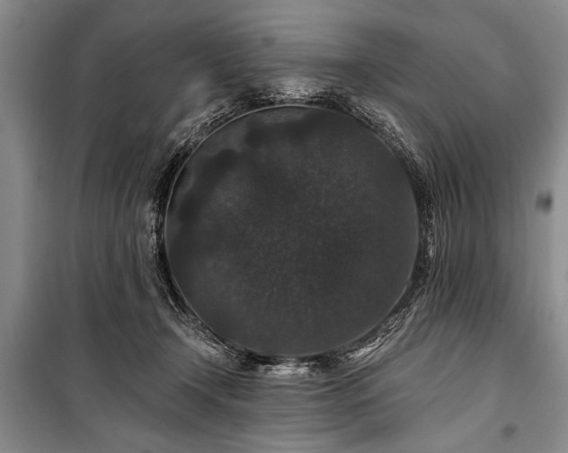 X0000101140366200806270925