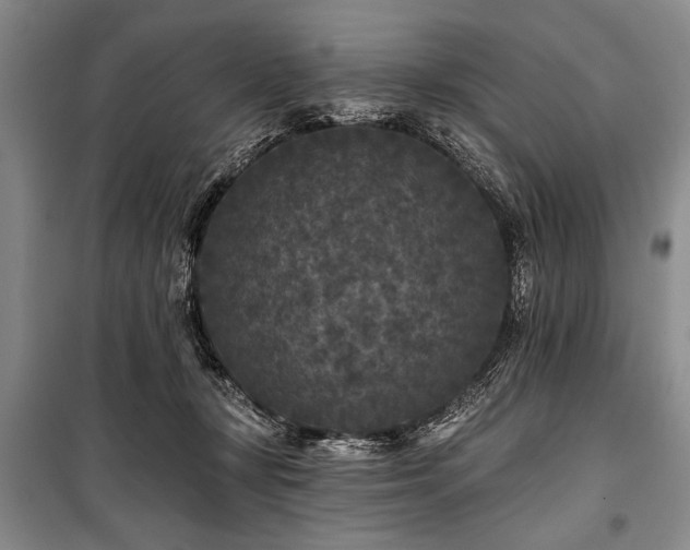 X0000101140367200806270925