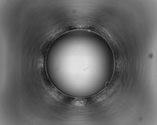 X0000101140368200806270925