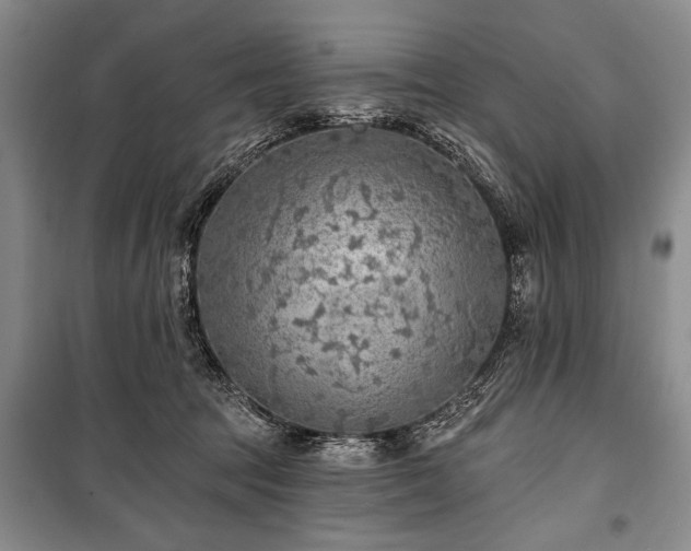 X0000101140369200806270925