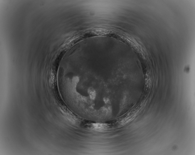 X0000101140371200806270925