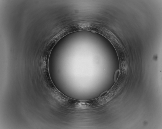 X0000101140372200806270925