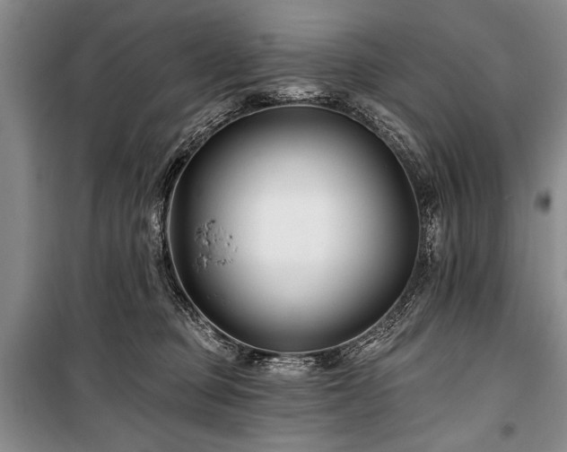 X0000101140373200806270925