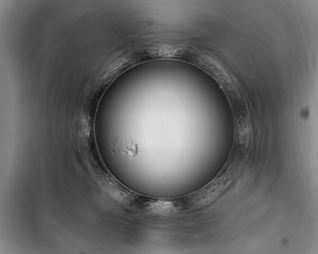 X0000101140374200806270925