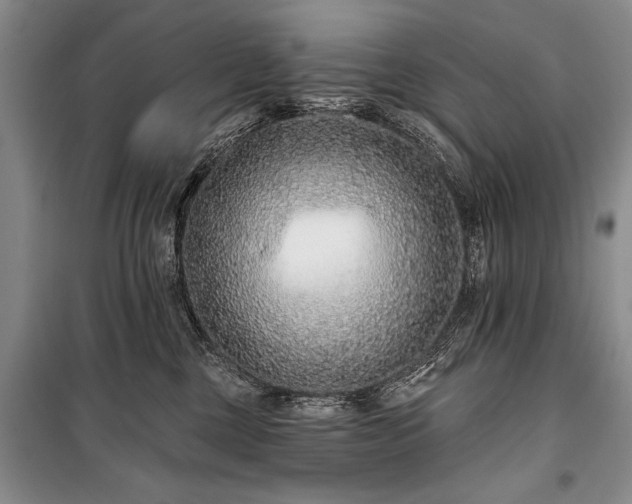 X0000101140377200806270925