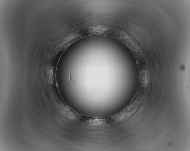 X0000101140378200806270925