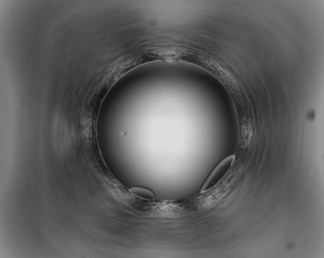 X0000101140379200806270925