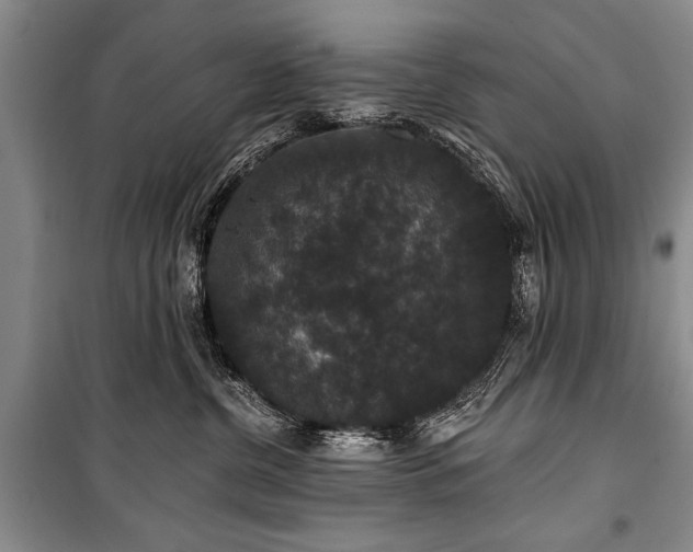 X0000101140380200806270925