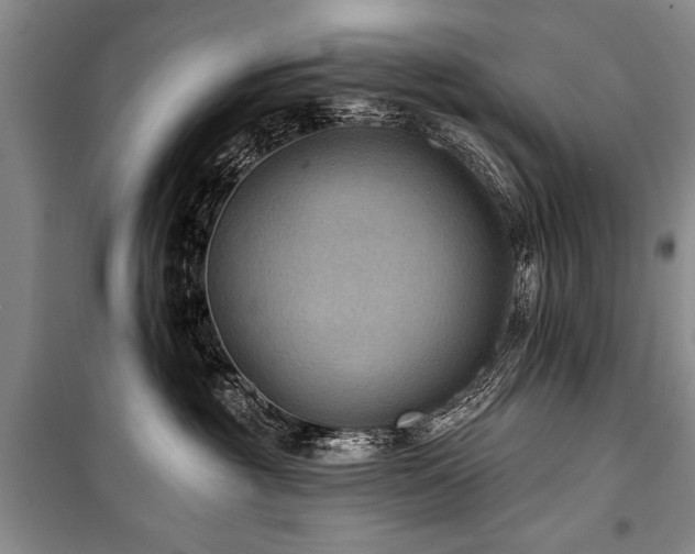 X0000101140381200806270925