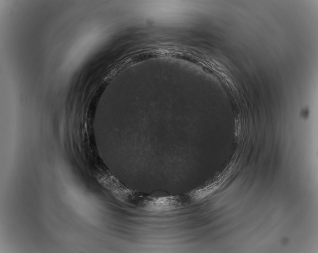 X0000101140382200806270925