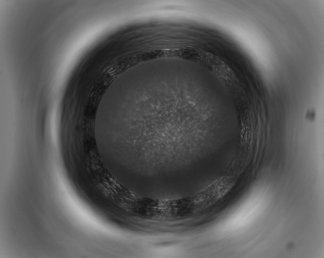 X0000101140383200806270925