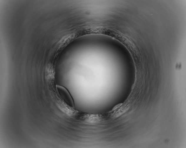 X0000101140384200806270925