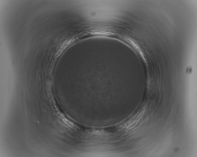 X0000101140385200806270925