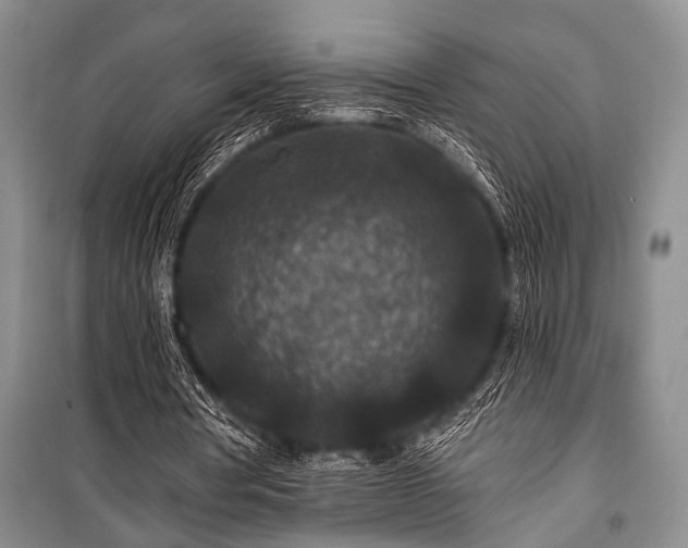 X0000101140386200806270925