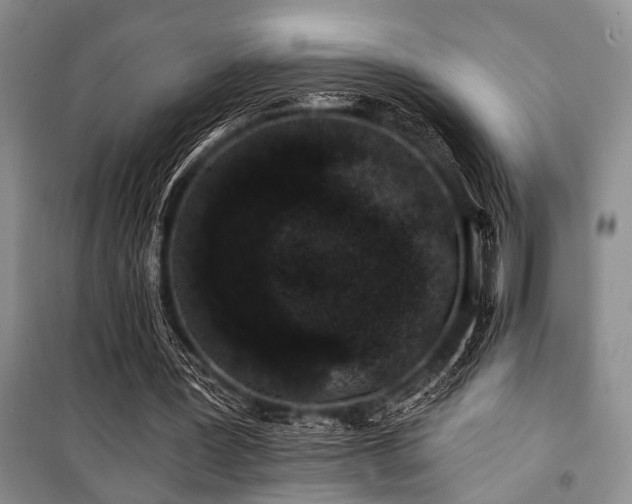 X0000101140387200806270925