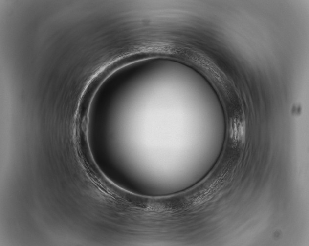 X0000101140388200806270925