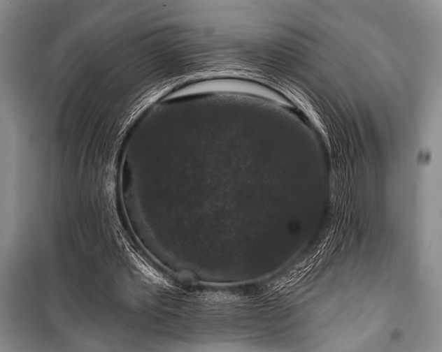 X0000101140389200806270925