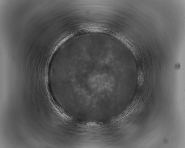 X0000101140390200806270925