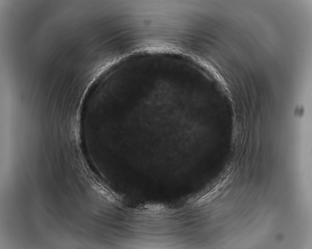 X0000101140391200806270925