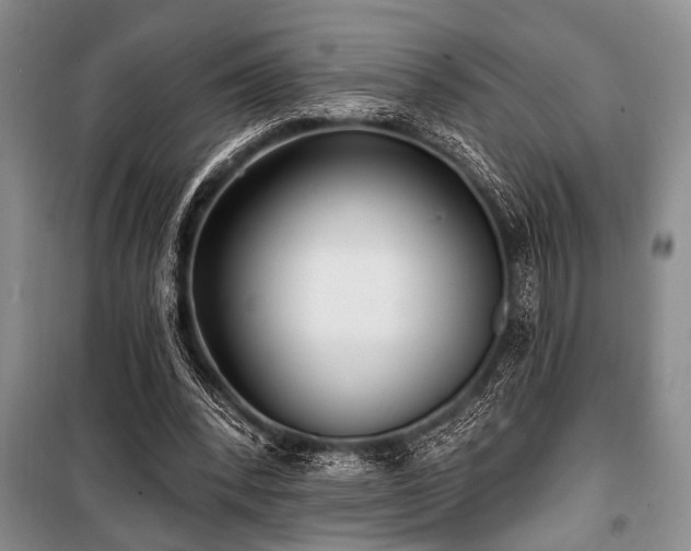 X0000101140392200806270925