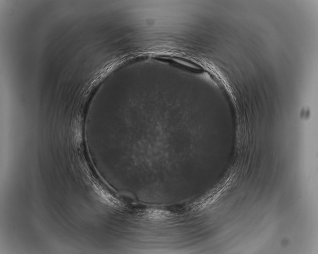 X0000101140393200806270925