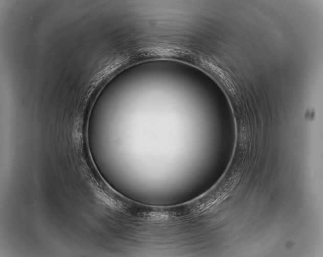 X0000101140394200806270925