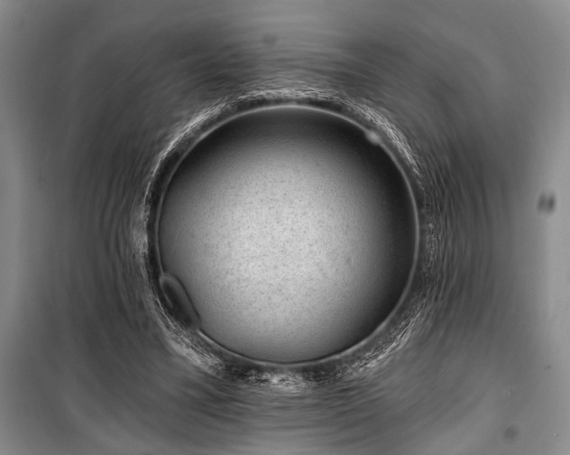 X0000101140395200806270925