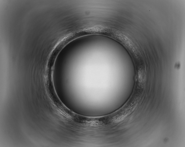 X0000101140396200806270925