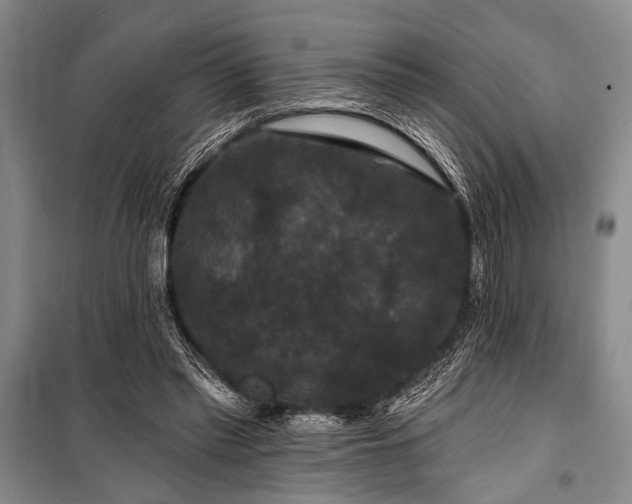 X0000101140397200806270925